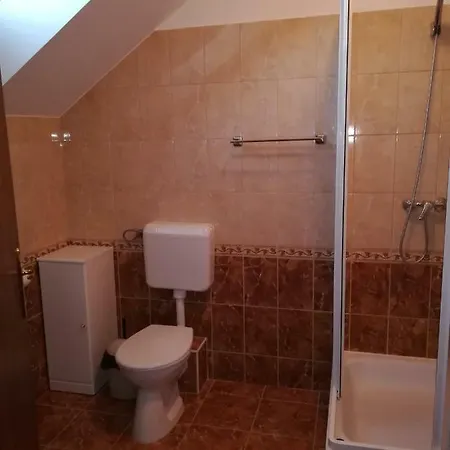 Aniko ホームステイ *