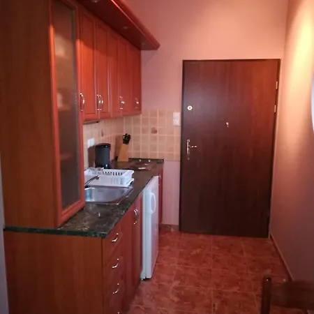 Aniko ホームステイ