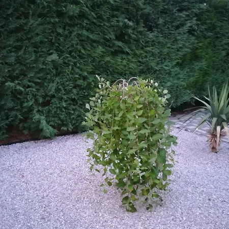 ホームステイ Aniko ザラカロシュ