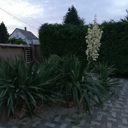 Aniko ホームステイ